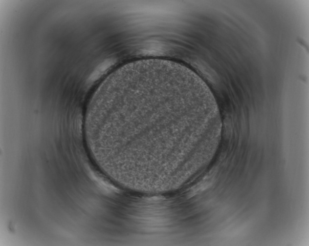 X0000097500446200803142023