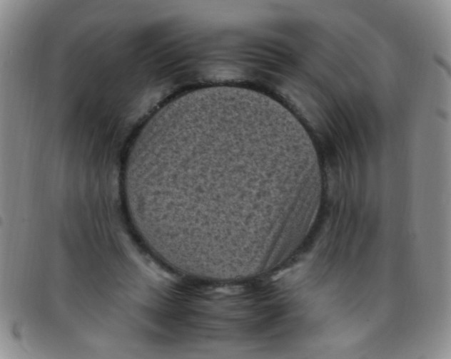 X0000097500447200803142023