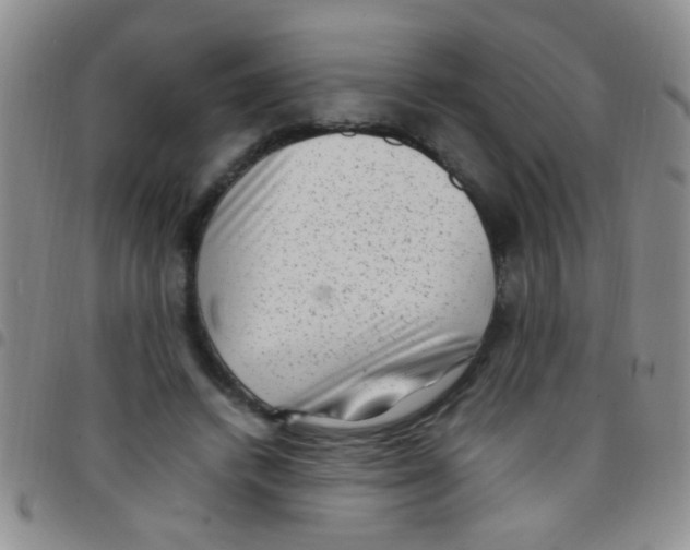 X0000097500448200803142023