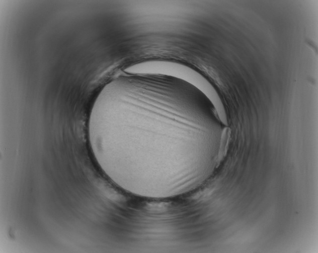 X0000097500450200803142023