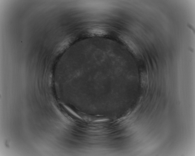 X0000097500451200803142023