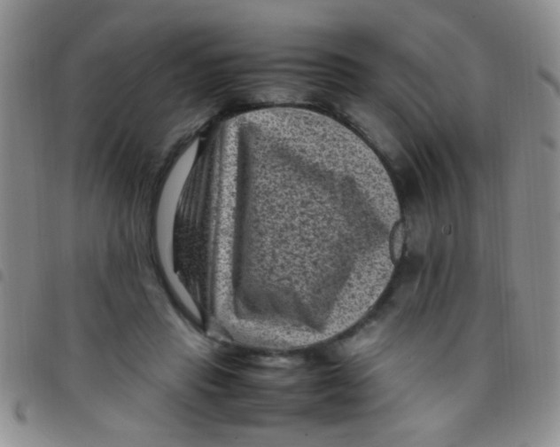 X0000097500453200803142023