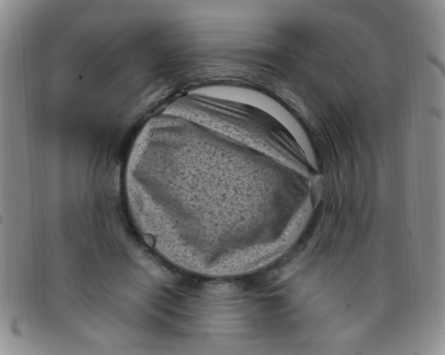 X0000097500454200803142023