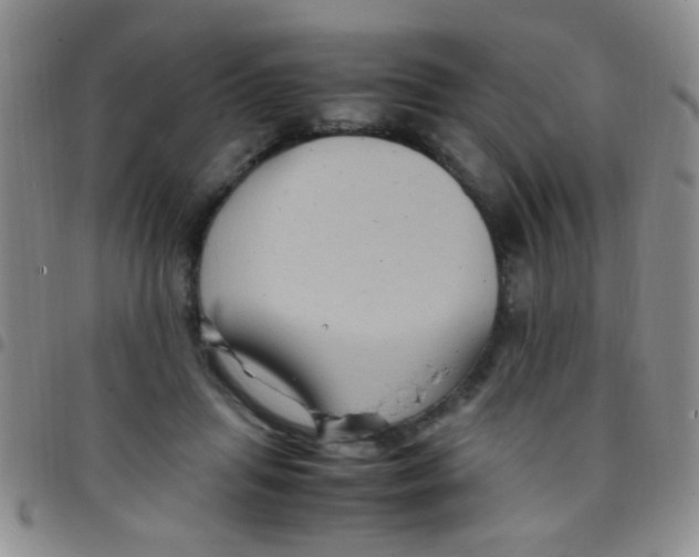 X0000097500455200803142023