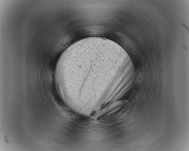 X0000097500456200803142023