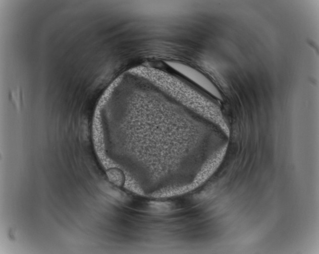 X0000097500457200803142023