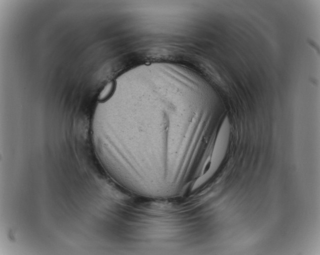 X0000097500458200803142023