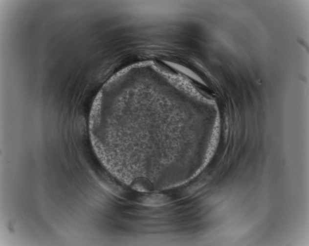 X0000097500459200803142023