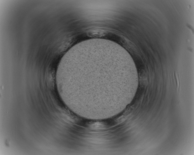 X0000097500460200803142023