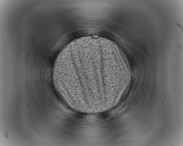 X0000097500462200803142023