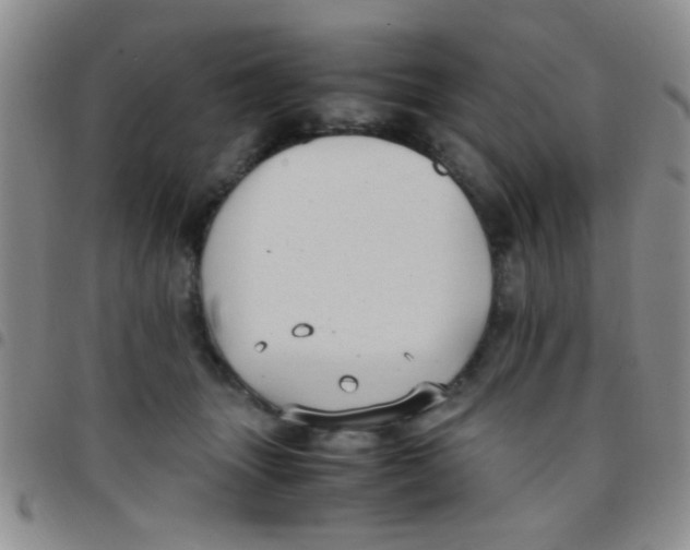 X0000097500463200803142023