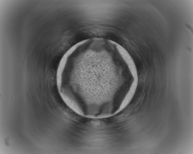 X0000097500464200803142023