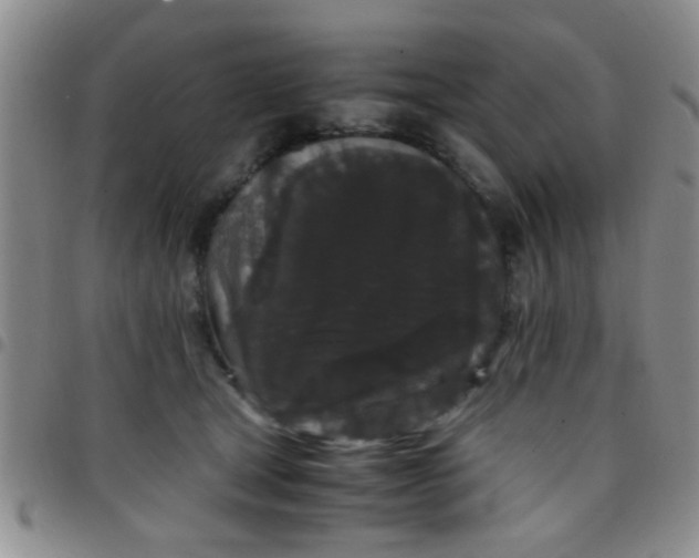 X0000097500465200803142023