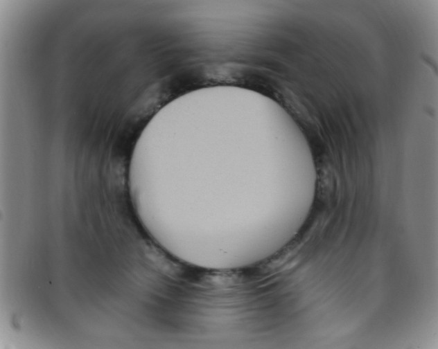 X0000097500466200803142023