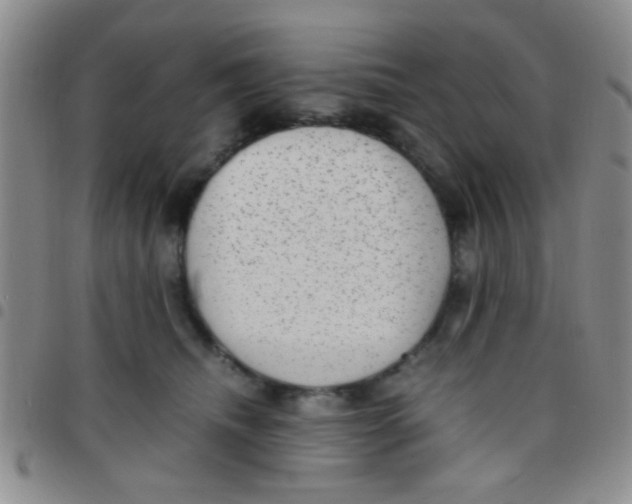 X0000097500468200803142023