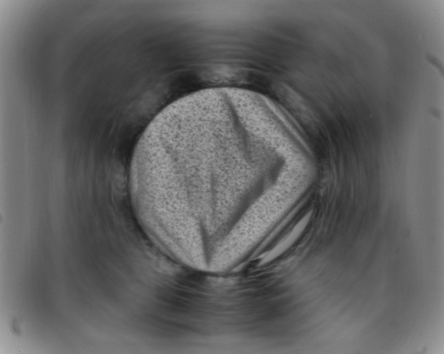 X0000097500469200803142023