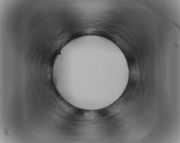 X0000097500470200803142023