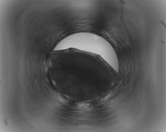 X0000097500471200803142023