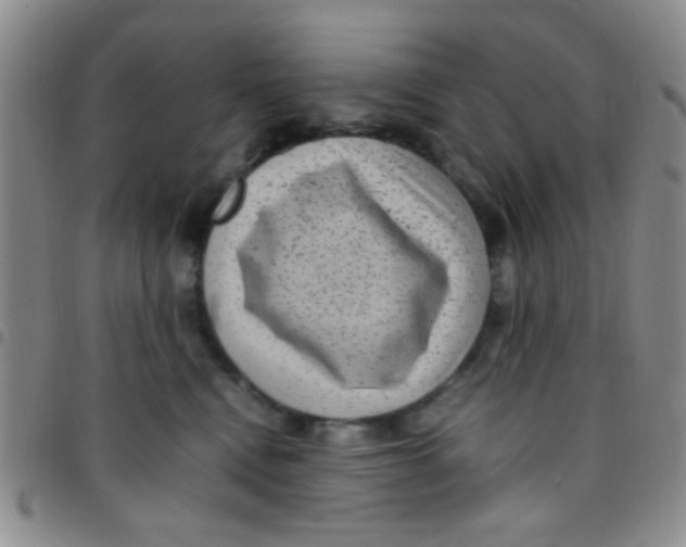 X0000097500472200803142023