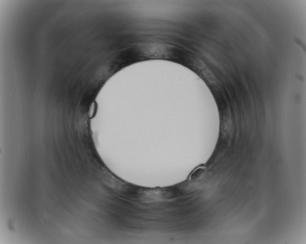 X0000097500473200803142023