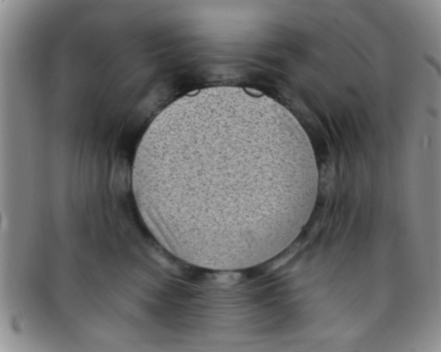 X0000097500474200803142023