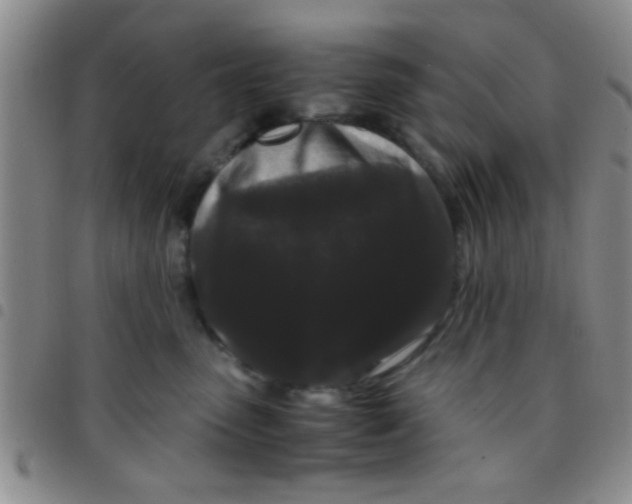 X0000097500475200803142023