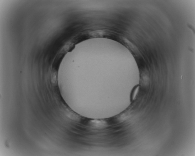 X0000097500477200803142023