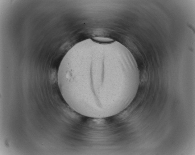 X0000097500478200803142023