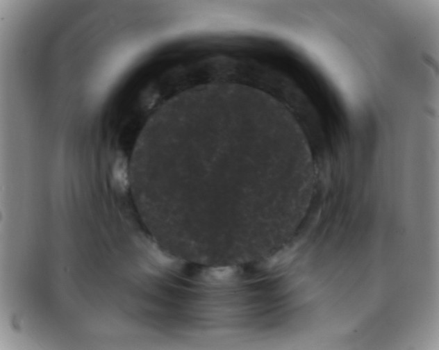 X0000097500479200803142023