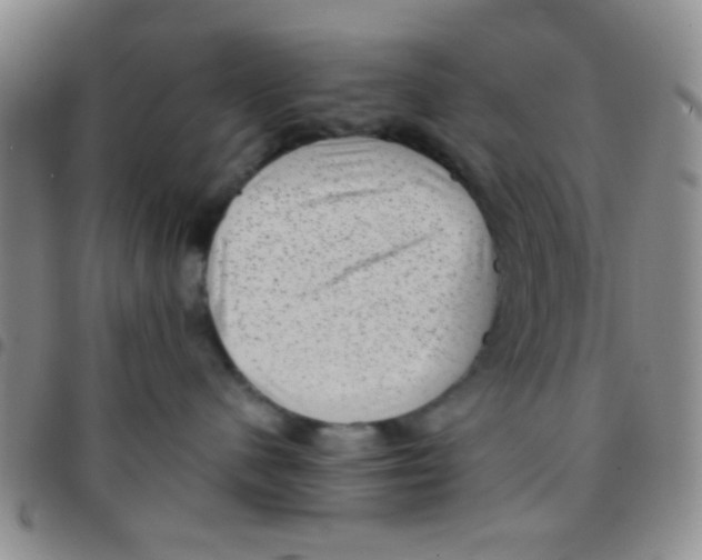 X0000097500480200803142023