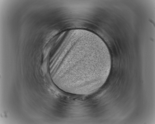 X0000097500481200803142023