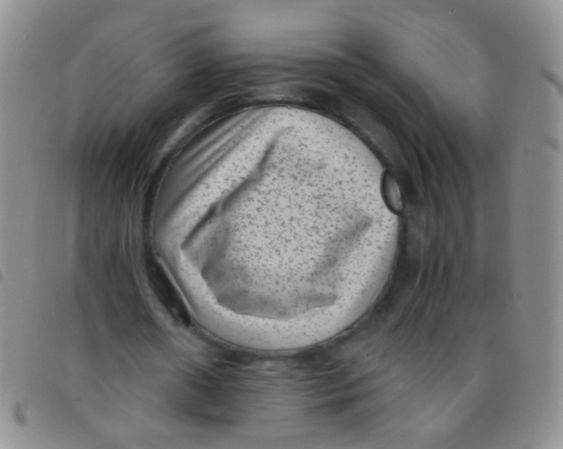 X0000097500482200803142023