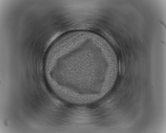 X0000097500483200803142023