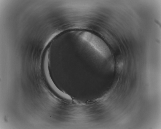 X0000097500484200803142023