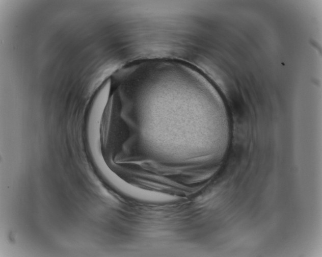 X0000097500485200803142023