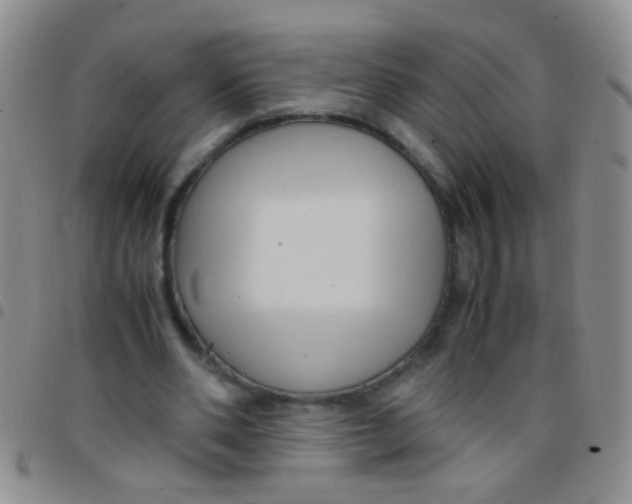 X0000097500486200803142023