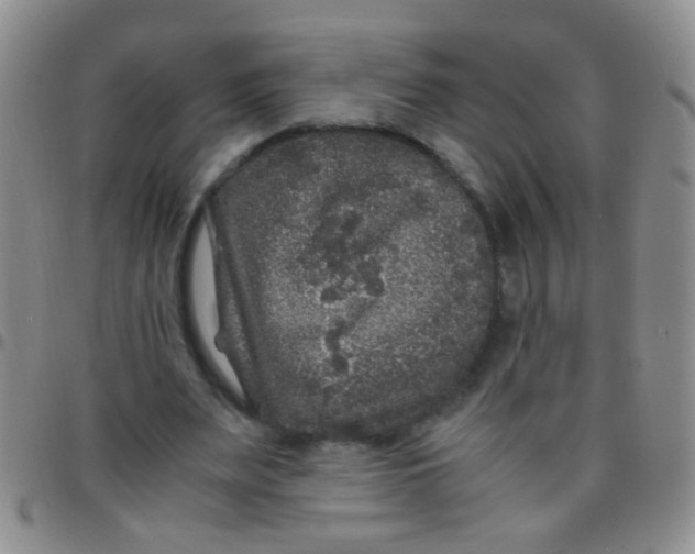 X0000097500487200803142023