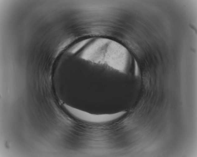 X0000097500488200803142023