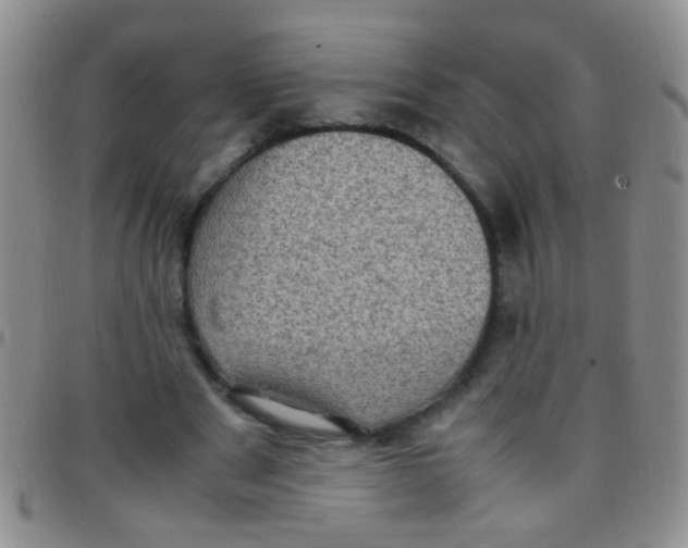 X0000097500489200803142023