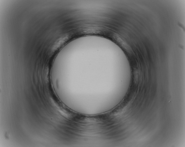 X0000097500490200803142023