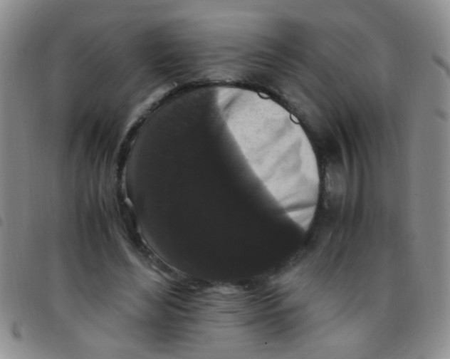 X0000097500492200803142023