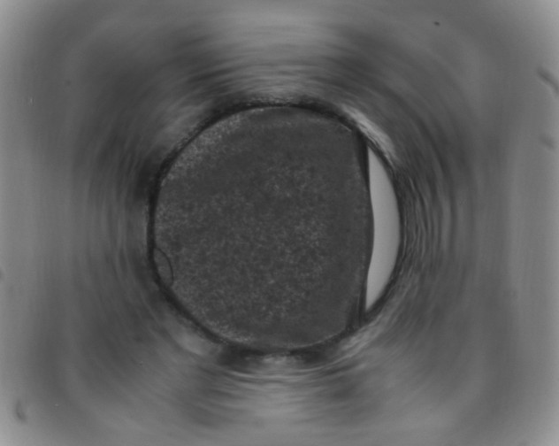 X0000097500493200803142023