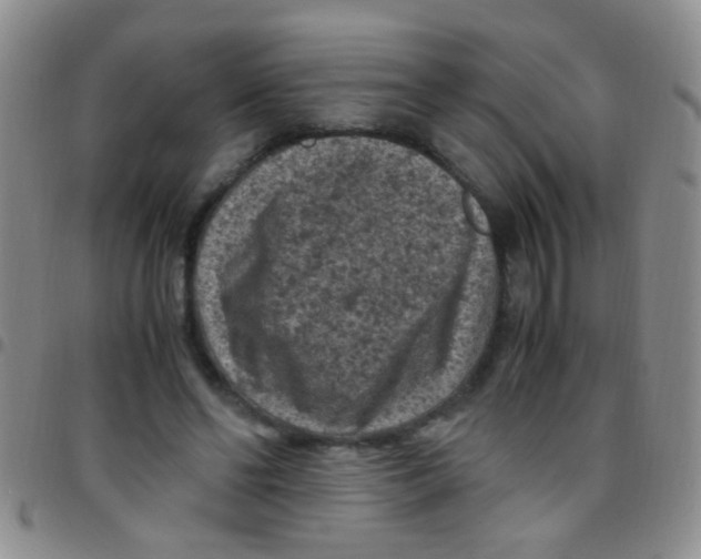 X0000097500494200803142023