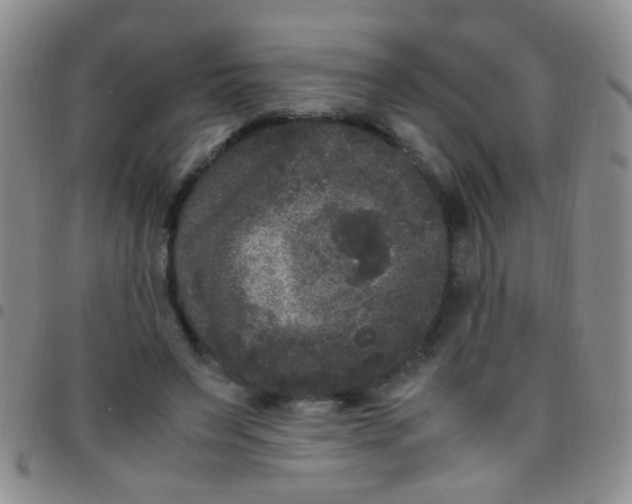 X0000097500495200803142023