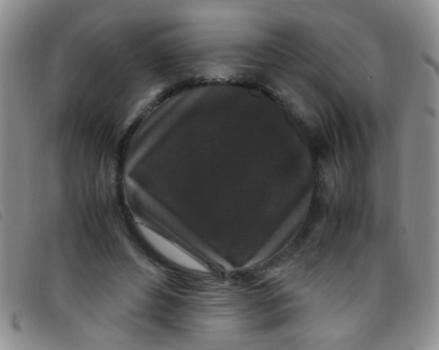 X0000097500496200803142023