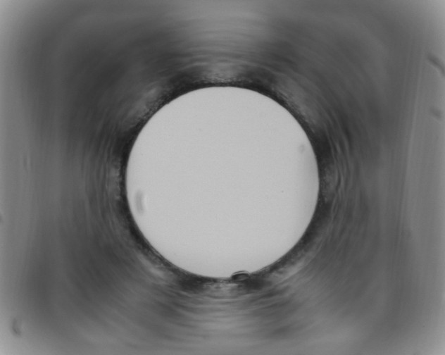 X0000097500497200803142023