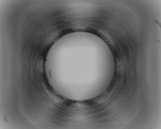 X0000097500498200803142023