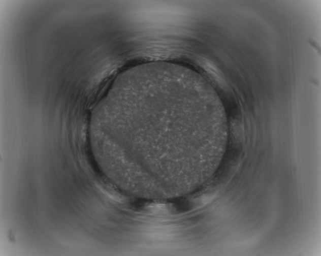 X0000097500499200803142022