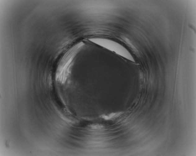 X0000097500500200803142022