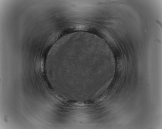 X0000097500502200803142022